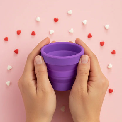 Vaso Esterilizador