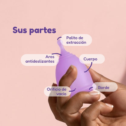Partes de la copa menstrual Luteas: palito de extracción, aros antideslizantes, cuerpo, orificio de vacío y borde